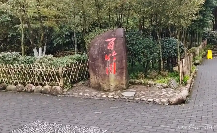 Hotels near Bamboo Garden