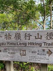 Niugu Ridge Hiking Trail