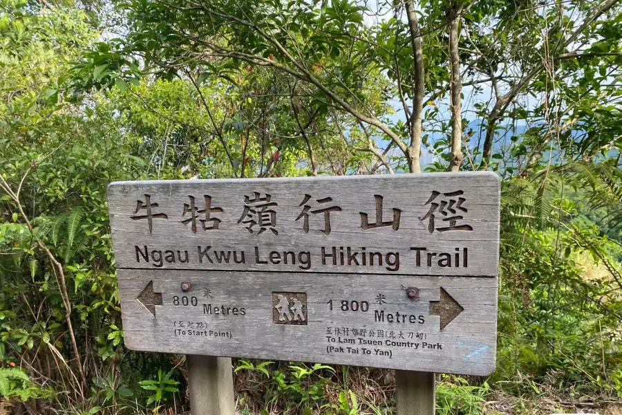 Niugu Ridge Hiking Trail