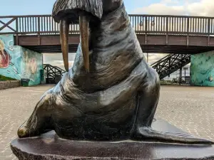 Pomnik Morsa w Mielnie