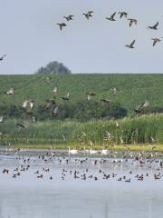 Regionaler Naturpark Lothringen