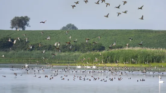 Parc naturel régional de Lorraine