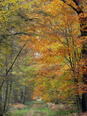 Parc Naturel Régional Oise - Pays de France