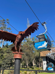 Arthurs Seat Eagle - Base Station