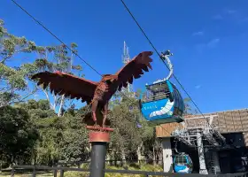 Arthurs Seat Eagle - Base Station