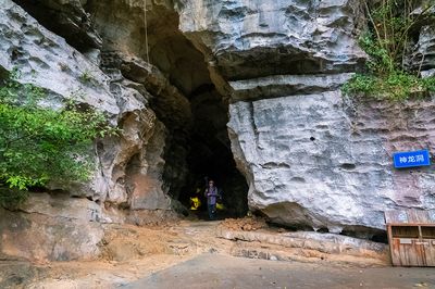 Laomumian Faxian ·Nonggang Forest Tourism Sceneic Area