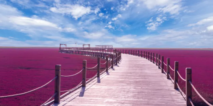 紅海灘風景旅遊區