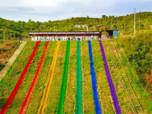 Wugong Mountain Grass Skiing Resort