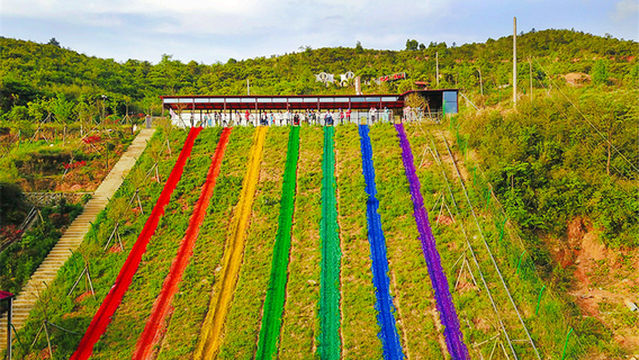 Wugong Mountain Grass Skiing Resort