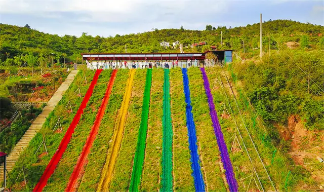 Grass Skiing in Pingxiang