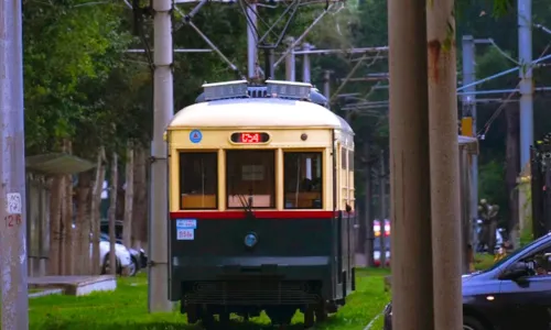 54th Cultural Tourism Special Train