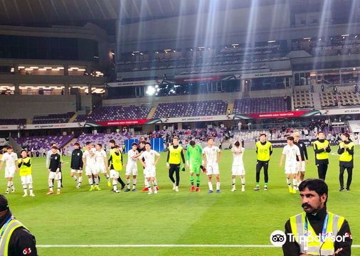Hazza bin Zayed Stadium