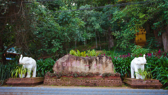 Jinghong