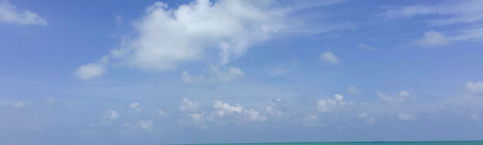 DesaruSports experiences