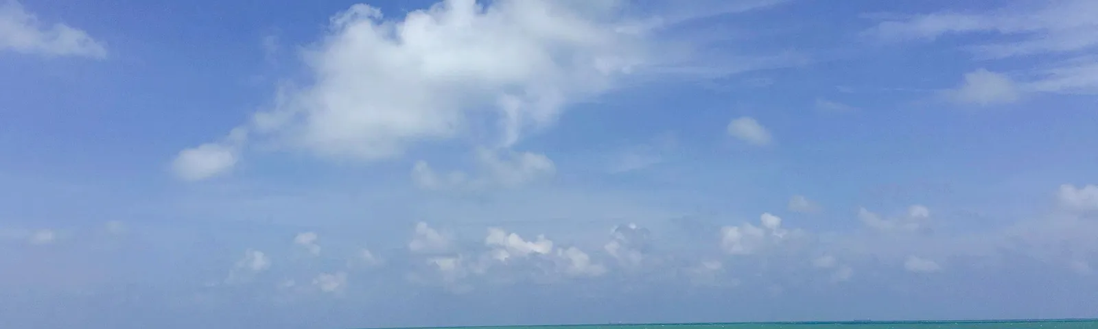 데사루데이 투어