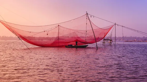 Chinese Fishing Nets