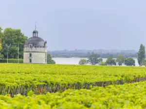 Chateau Latour