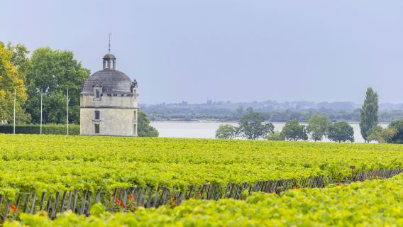 Chateau Latour