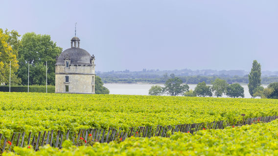 Chateau Latour