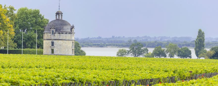 Chateau Latour
