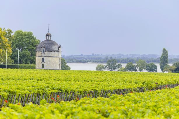 Chateau Latour