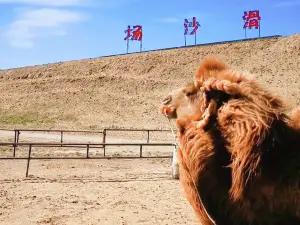 哈素海旅遊渡假村