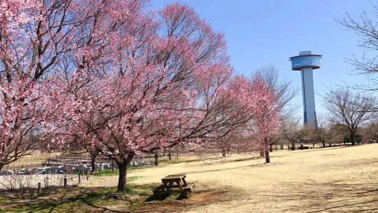 Kodai Hasu No Sato (Ancient Lotus Park)