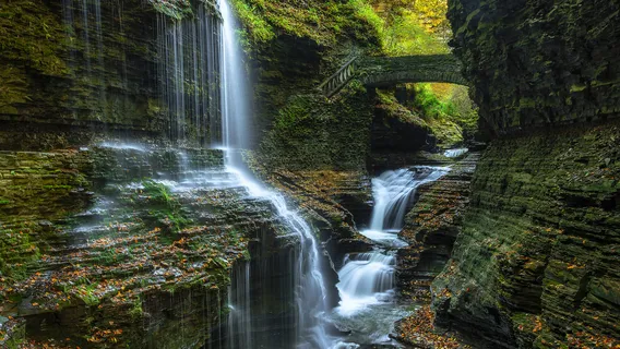 Watkins Glen State Park