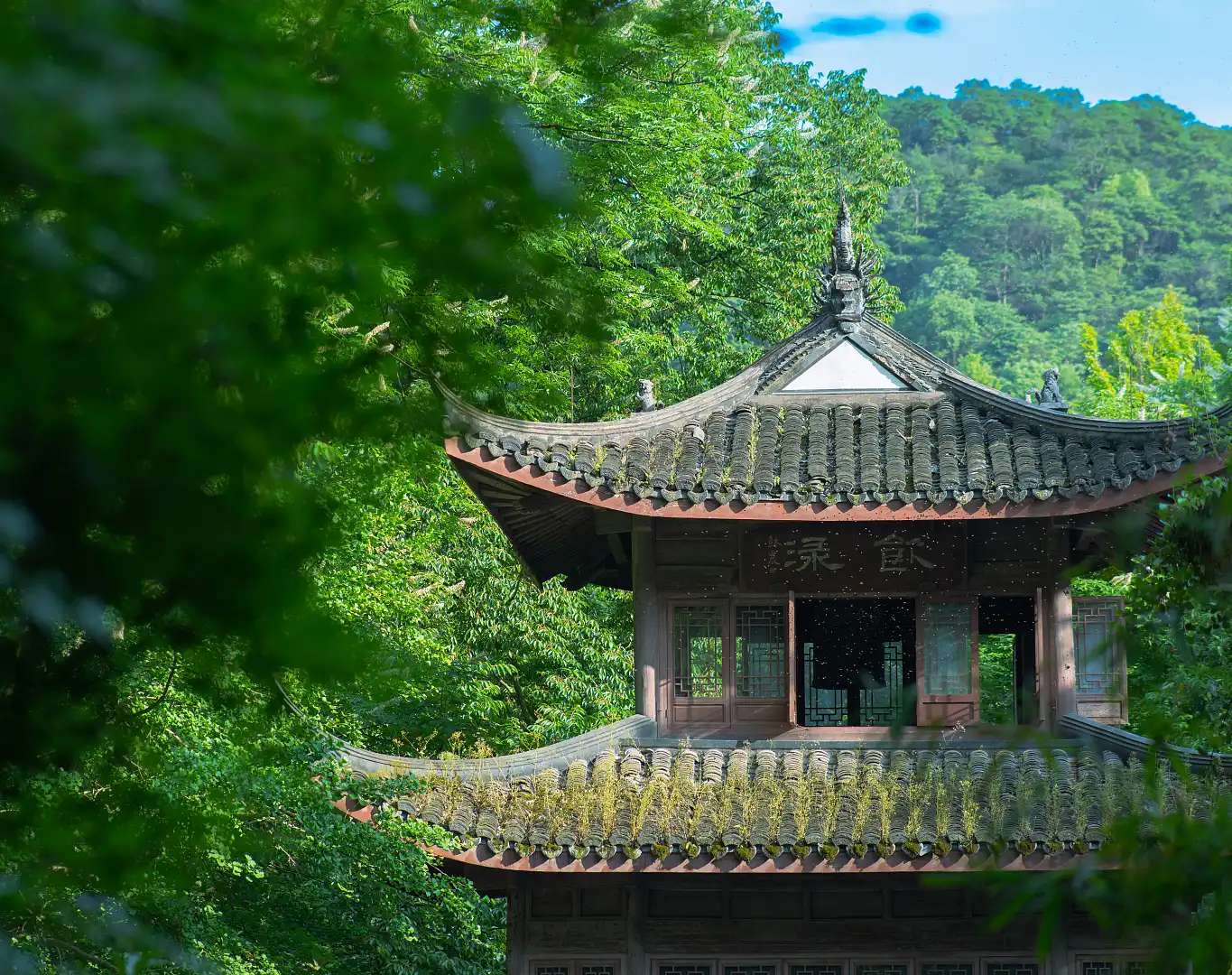 鄰近虎跑公園的酒店