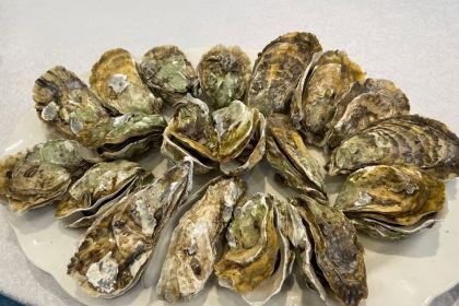 NEW PLACE RESTAURANR