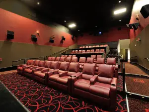 AMC Allegany 8