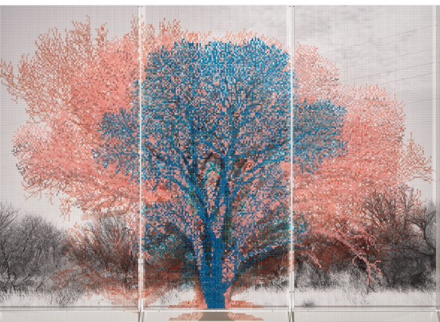 Charles Gaines  Numbers and Trees (Arizona Series) | Phoenix Art Museum