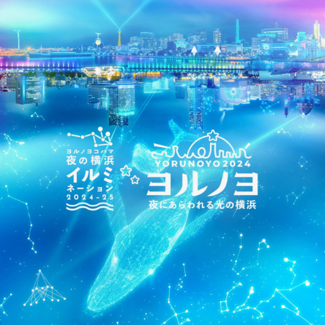 Illumination Fest in Yokohama | Yokohama