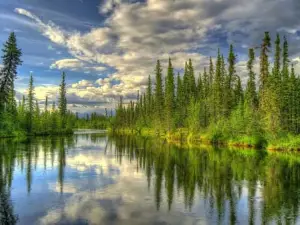 Clearwater State Recreation Site