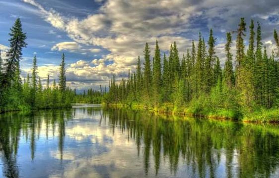 Clearwater State Recreation Site