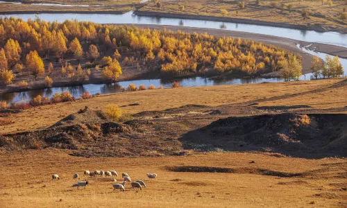 Inner Mongolia Ergun National Wetland Park