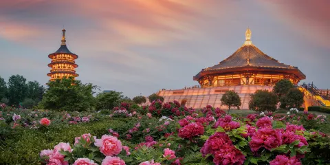 隋唐洛陽城明堂天堂景區門票成人