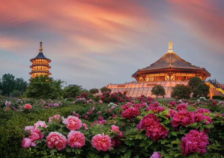 【洛陽自由行】3天2夜洛陽旅遊這樣玩，行程規劃懶人包全面看！