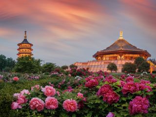 vol Zhuhai Luoyang direct