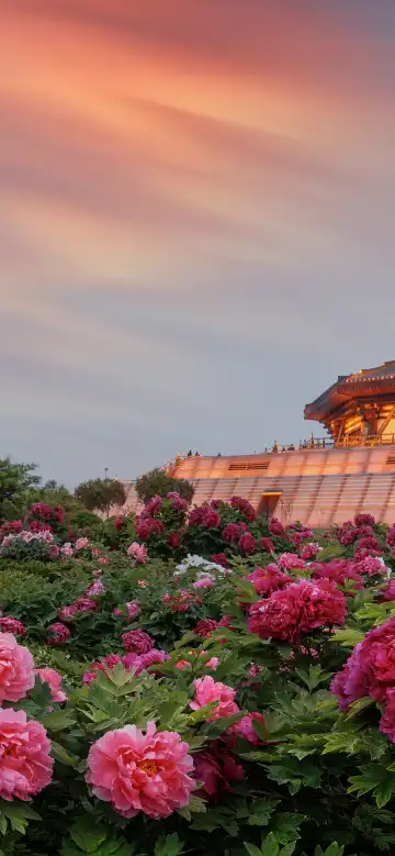 โรงแรมในลั่วหยาง