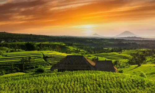 Bali Sunrise