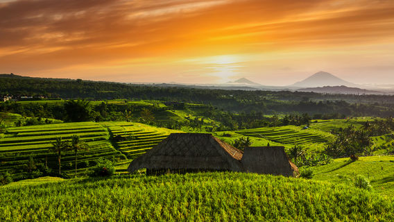 Sunrise Sightseeing in Bali
