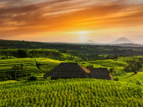 Kolkata to Bali flight schedule