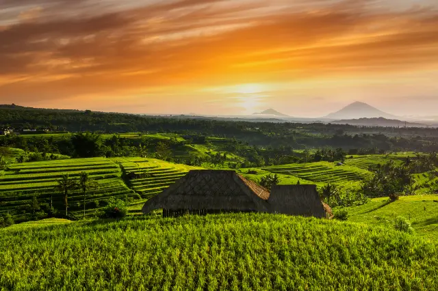 Sunrise Sightseeing in Bali