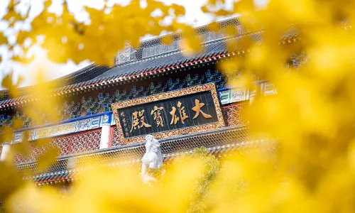 Qiyansi