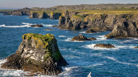 Arnarstapi Cliff Viewpoint