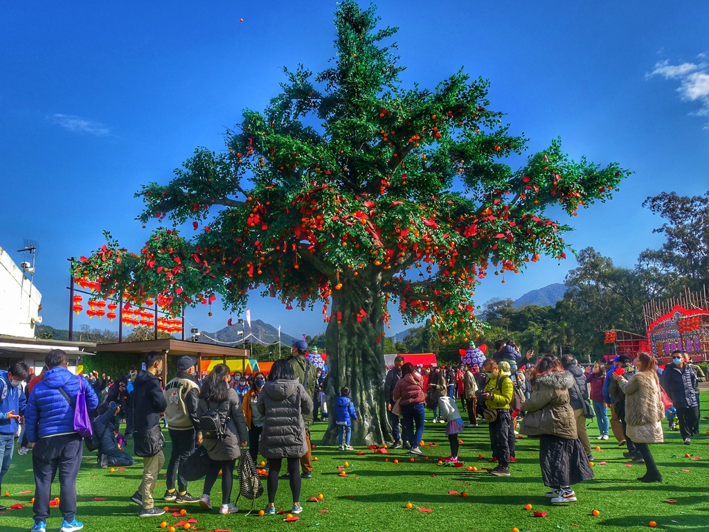 홍콩 타이포 린춘 마을 소원 축제 | 홍콩