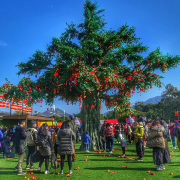 Tai Po Lam Tsuen Hong Kong Wishing Festival