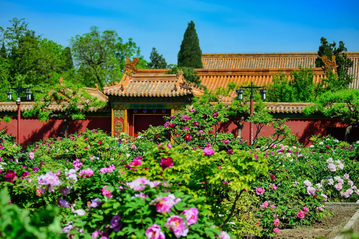 5_Jingshan Park