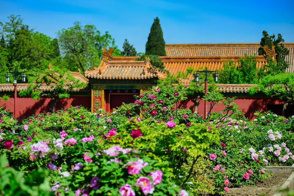 5_Jingshan Park